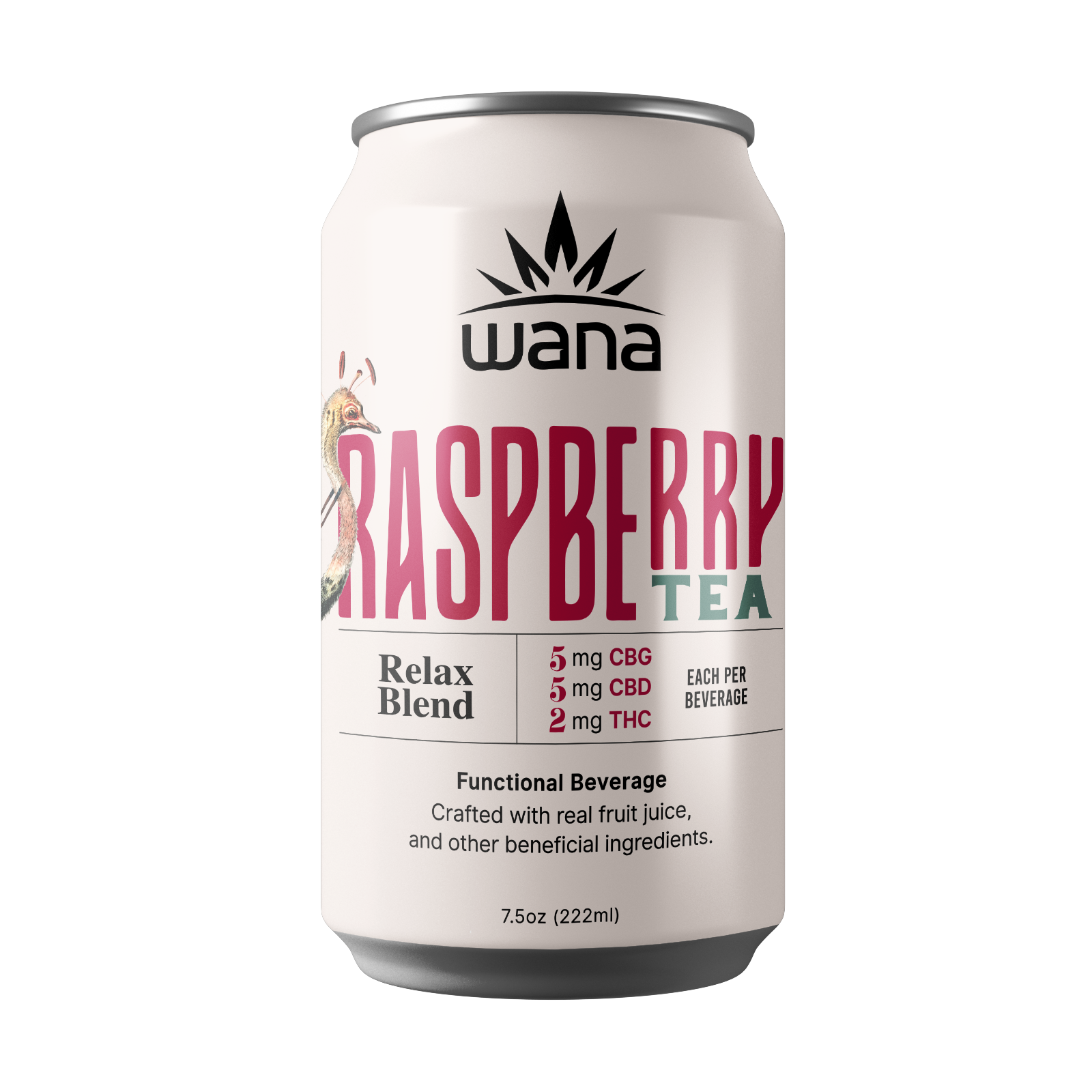 Raspberry Tea 4-Pack